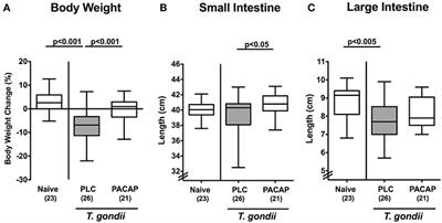 Pituitary Adenylate Cyclase-Activating Polypeptide—A Neuropeptide as Novel Treatment Option for Subacute Ileitis in Mice Harboring a Human Gut Microbiota